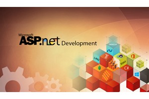 Choose .NET Development Company